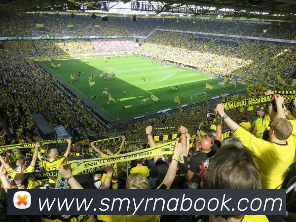 世界杯官方网络平台APP 体育赛事宣传图